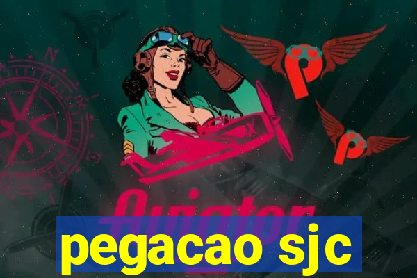 pegacao sjc